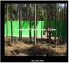 LondonTaxiTour_Com-Harry-Potter-Filming-Deathly-Hallows-Swinley-Forest-Green-Screen.jpg