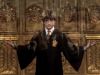 POTTER_GOBLET_OF_FIRE_BONUS-01_.jpg