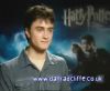 potterish_60minutos_TV_04795.jpg