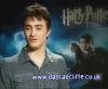 potterish_60minutos_TV_04939.jpg