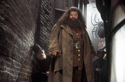 Hagrid
Palavras-chave: Hagrid