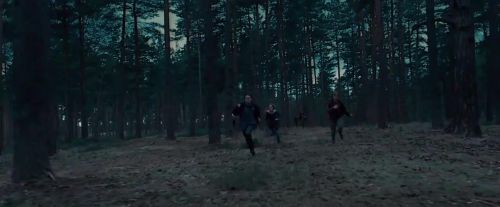Potterish-RdMTVSpot7-80.jpg
