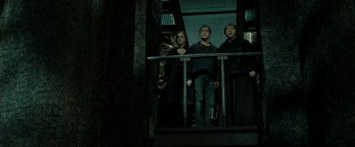 RdM2-Potterish_02292.jpg