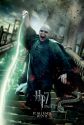 HP7-2_ACTION_Voldemort_DOM.jpg