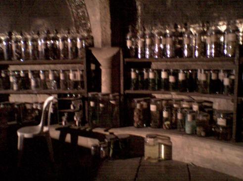 Sala do Snape
