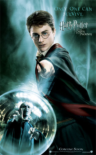Harry e Voldemort - Alta Resolução

